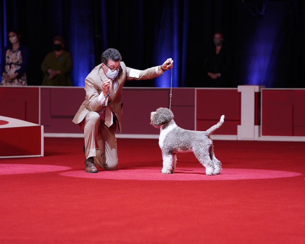 The Perfect Show for Imperfect Times